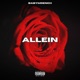 Allein EP