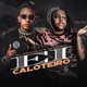 Ei Caloteiro Single