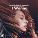 I Wanna feat Hysteria Single