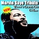 What s Going On A Tribute To Marvin Gaye Single