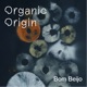 Organic Origin feat Selva Kalú