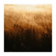 Forest Spirits Single