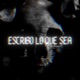 Escribo Lo Que Sea feat Alan C Single