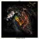 Cross My Mind feat Myke Tyler Single