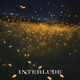 Interlude feat Dubbygotbars Single