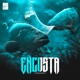Encosta Single