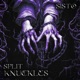 Split Knuckles Single