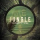 Jungle feat Atiba Single