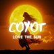 Love The Sun Single