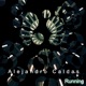 Running Single