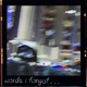 Words I Forgot Single