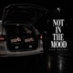 NOT IN THE MOOD Single