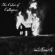 The Color of Collapse