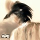 Apb Single