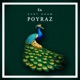 Poyraz Single