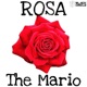 Rosa Single