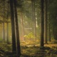 Jokkmokk Single