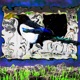 straka vsidechainu Single