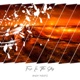 Fire in the Sky Single
