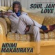 Ndimi Makauraya Single