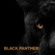 Black Panther feat Metrik Single