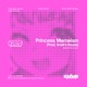 Princess Memeism Single