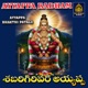 Sabarigirivara Ayyappa Single