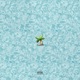 Paradise Single