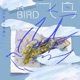 飞鸟 Single