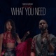 Tell Me What You Need feat Enjelique Single
