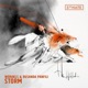 Storm Single