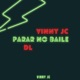PARAR NO BAILE feat DL VINNY JC Single