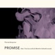 Promise feat Tina Guo Merethe Soltvedt Single