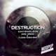 Destruction Single