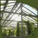 Greenhouse Single