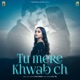 Tu Mere Khwab Ch From Haale Dil Original Soundtrack Single