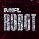 Mr Robot Single