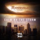 Calm B4 the Storm feat Tenor Fly Single