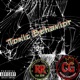 Toxic Behavior Single