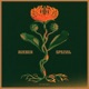 Special EP EP