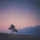 Summer State Single