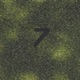 Beginning Single