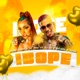 Ibope feat DJ DG Batidão Stronda Single