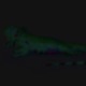 Lizard feat Kae Gee T Y Single