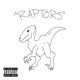 RAPTORS Single