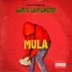 Mula Single
