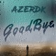 Goodbye Single
