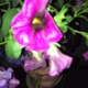 High Art EP