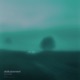 Disillusionment Sped Up Single