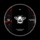 Jungle EP Single